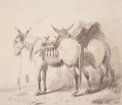 Mule Equipment, c.1837 (lápiz y aguada sobre papel) de Alfred Jacob Miller