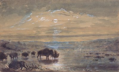 Escena nocturna, búfalos en la pradera, c.1837 (acuarela sobre papel) de Alfred Jacob Miller