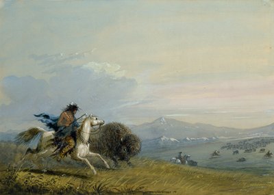 Búfalo corriendo de los pawnee de Alfred Jacob Miller