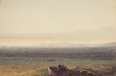 Prairie, c.1837 (lápiz, acuarela y gouache sobre papel) de Alfred Jacob Miller
