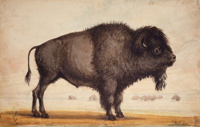 Perfumando la brisa, c.1837 (acuarela sobre papel) de Alfred Jacob Miller