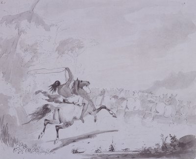 Lanzando el lazo, c.1837 de Alfred Jacob Miller