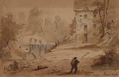 Vista de una casa y unas cataratas de Alfred Jacob Miller