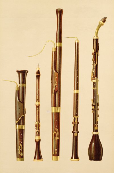 Un dulcian, un oboe, un fagot, un oboe da caccia y un clarinete bajo, de 