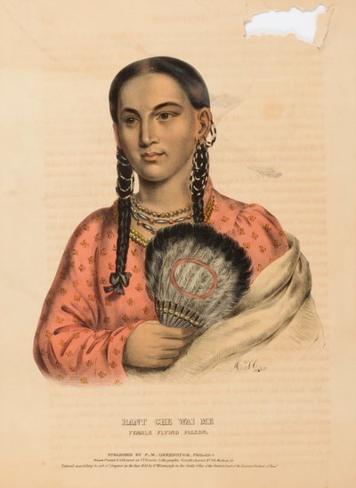 RANT CHE WAI ME. FEMALE FLYING PIGEON., de History of the Indian Tribes of North America de Alfred M. Hoffy
