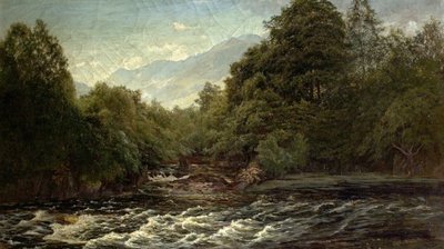 La Piscina del Salmón (Piscina del Salmón en el Spean, Escocia), 1880 de Alfred Pizzey Newton