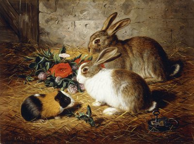 Escapados: Dos conejos y un conejillo de indias, 1880 de Alfred R. Barber