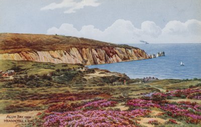 Bahía de Alum, desde Headon Hill, IOW de Alfred Robert Quinton