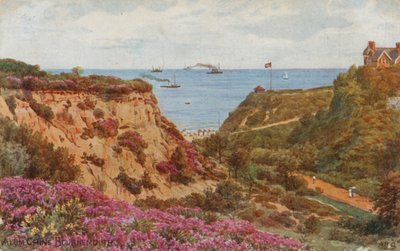 Alum Chine, Bournemouth de Alfred Robert Quinton