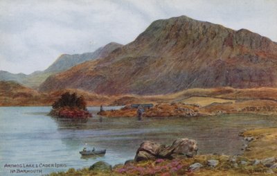 Lago Arthog y Cader Idris, cerca de Barmouth de Alfred Robert Quinton
