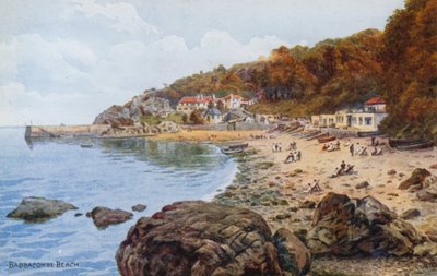 Playa de Babbacombe de Alfred Robert Quinton