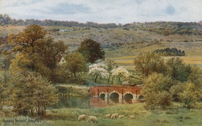 Puente de Boxhill, Dorking de Alfred Robert Quinton