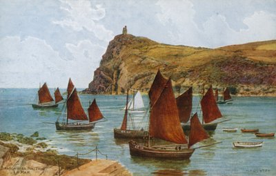 Bradda Head, Port Erin, Isla de Man de Alfred Robert Quinton