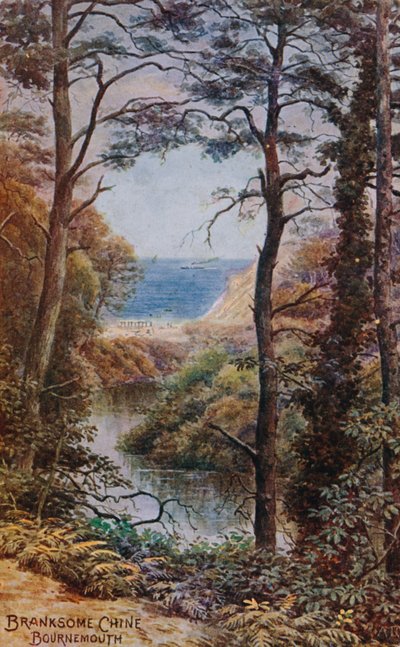 Branksome Chine, Bournemouth de Alfred Robert Quinton