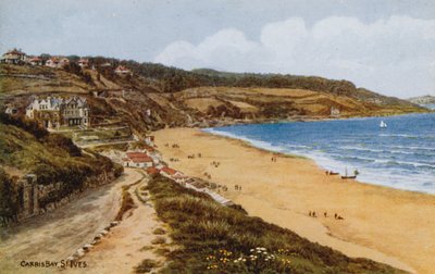 Bahía de Carbis, St Ives de Alfred Robert Quinton