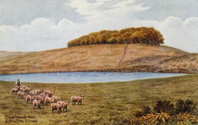 Chanctonbury Ring y Dew Pond, S Downs de Alfred Robert Quinton