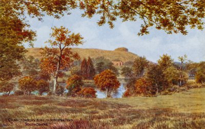 Chanctonbury Ring, desde Wiston Pond, South Downs de Alfred Robert Quinton