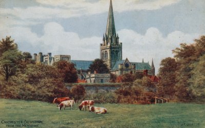 Catedral de Chichester, desde los prados de Alfred Robert Quinton