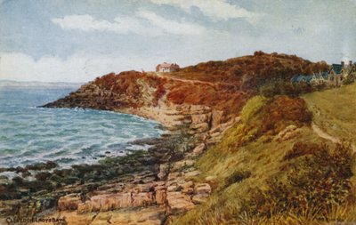 Clevedon, Bahía de la Dama de Alfred Robert Quinton