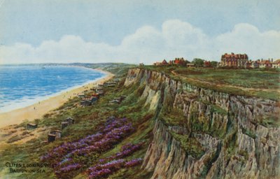 Acantilados, mirando al oeste, Barton-on-Sea de Alfred Robert Quinton