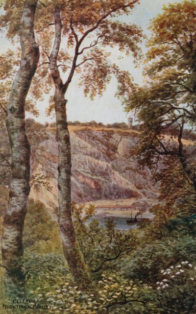Clifton, Valle de Nightingale de Alfred Robert Quinton