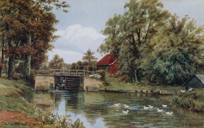 Coltishall Lock, en el Bure de Alfred Robert Quinton