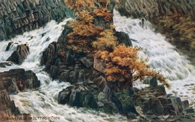 Cascadas de Conway, cerca de Bettws-y-Coed de Alfred Robert Quinton