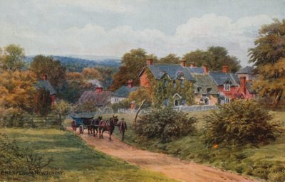 Emery Down, New Forest de Alfred Robert Quinton
