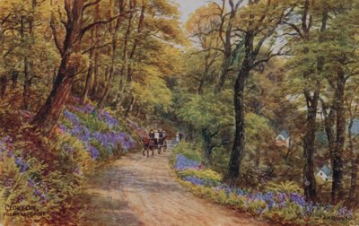 Hobby Drive, Clovelly (litografía a color) de Alfred Robert Quinton