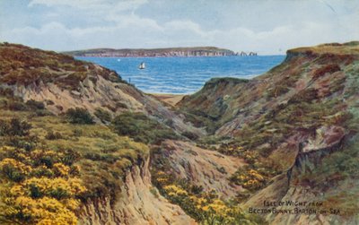 Isla de Wight, de Becton Bunny, Barton-on-Sea (litografía en color) de Alfred Robert Quinton