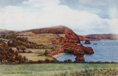 Bahía de Ladram, cerca de Sidmouth de Alfred Robert Quinton