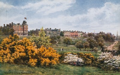 Monte Ephraim, Tunbridge Wells de Alfred Robert Quinton