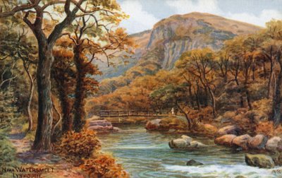 Cerca de Watersmeet, Lynmouth de Alfred Robert Quinton
