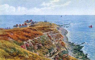 Punto Peveril, Swanage de Alfred Robert Quinton
