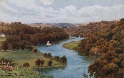 Plymouth, El Tamar en Calstock de Alfred Robert Quinton