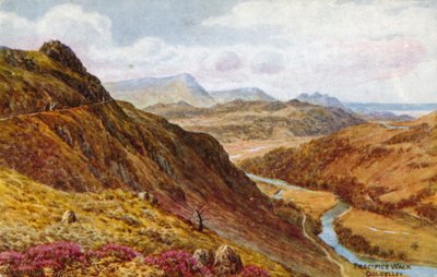Camino del precipicio, Dolgelley de Alfred Robert Quinton
