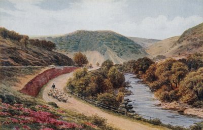 Rhayader en el Wye de Alfred Robert Quinton