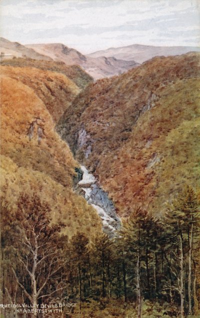 Valle de Rheidol, Puente del Diablo, cerca de Aberystwyth de Alfred Robert Quinton