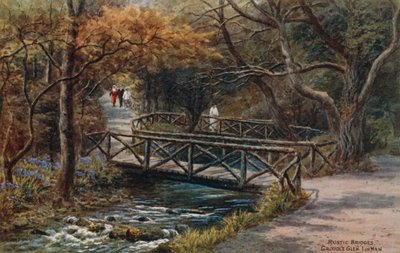 Puentes rústicos, Groudle Glen, Isla de Man de Alfred Robert Quinton
