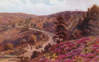 Piedra del Marinero y Colina Gibbet, Hindhead de Alfred Robert Quinton