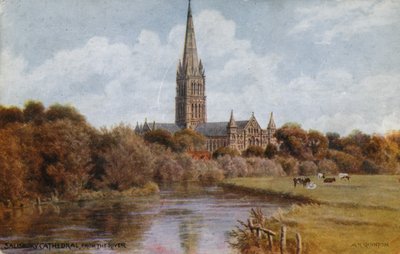 Catedral de Salisbury de Alfred Robert Quinton