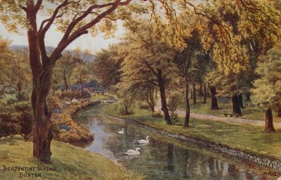 Paseos serpenteantes, Buxton de Alfred Robert Quinton