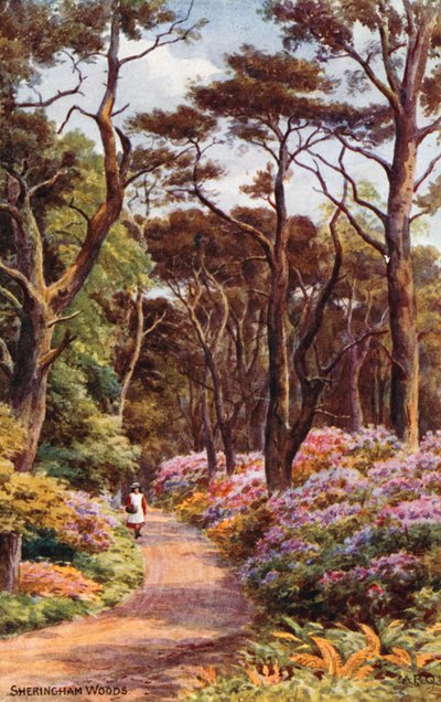 Bosques de Sheringham de Alfred Robert Quinton