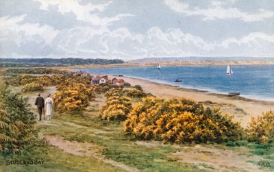 Bahía de Studland de Alfred Robert Quinton