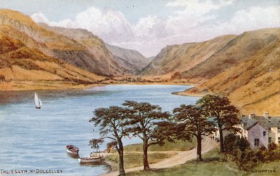 Tal-y-Llyn, cerca de Dolgelley de Alfred Robert Quinton