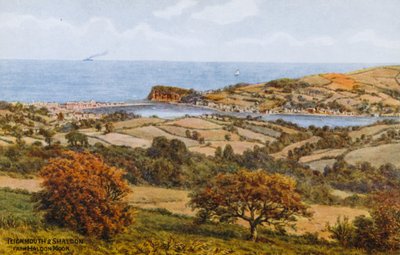 Teignmouth y Shaldon, desde Haldon Moor de Alfred Robert Quinton
