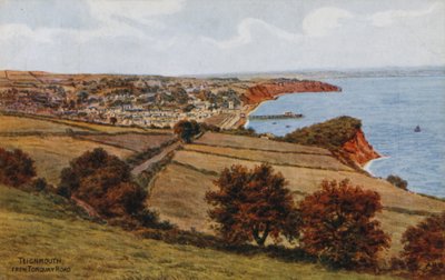Teignmouth, desde Torquay Road de Alfred Robert Quinton
