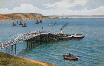 Tenby, Muelle y Bahía de Alfred Robert Quinton