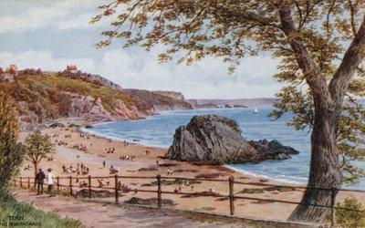 Tenby, Las Arenas del Norte de Alfred Robert Quinton
