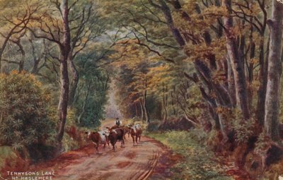 El carril de Tennyson cerca de Haslemere de Alfred Robert Quinton